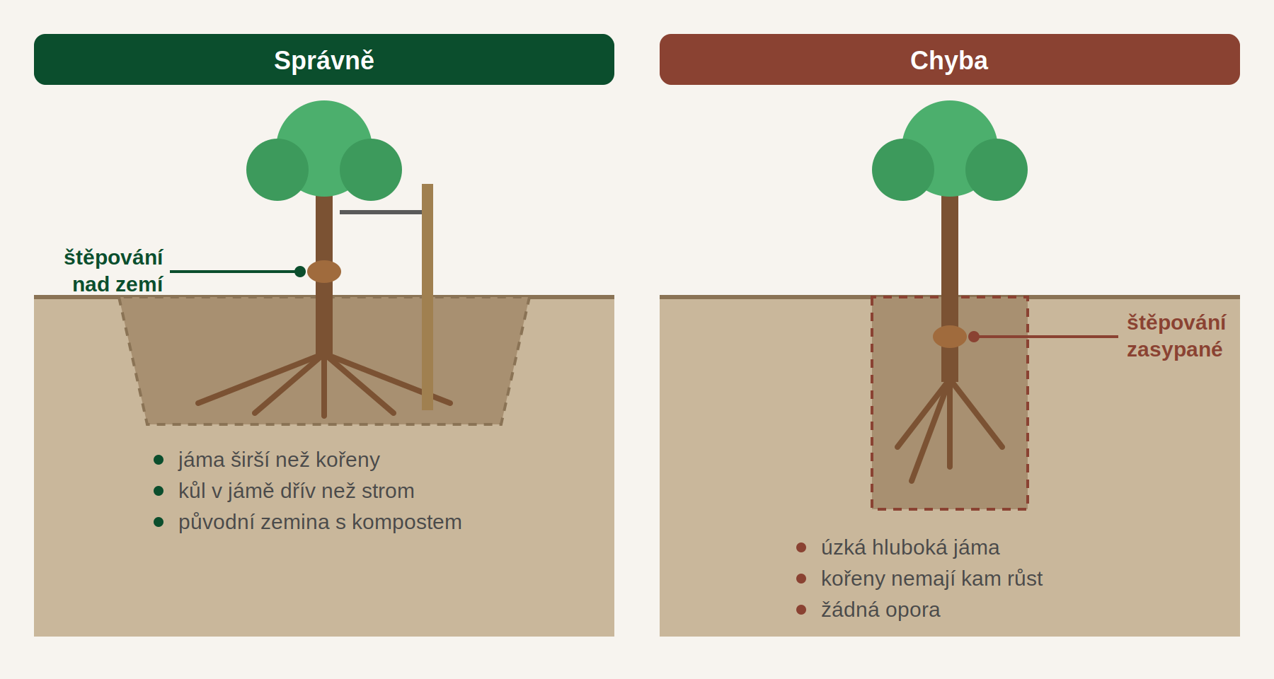 Srovnání správné široké výsadbové jámy a chybné hluboké úzké jámy se zasypaným místem štěpování